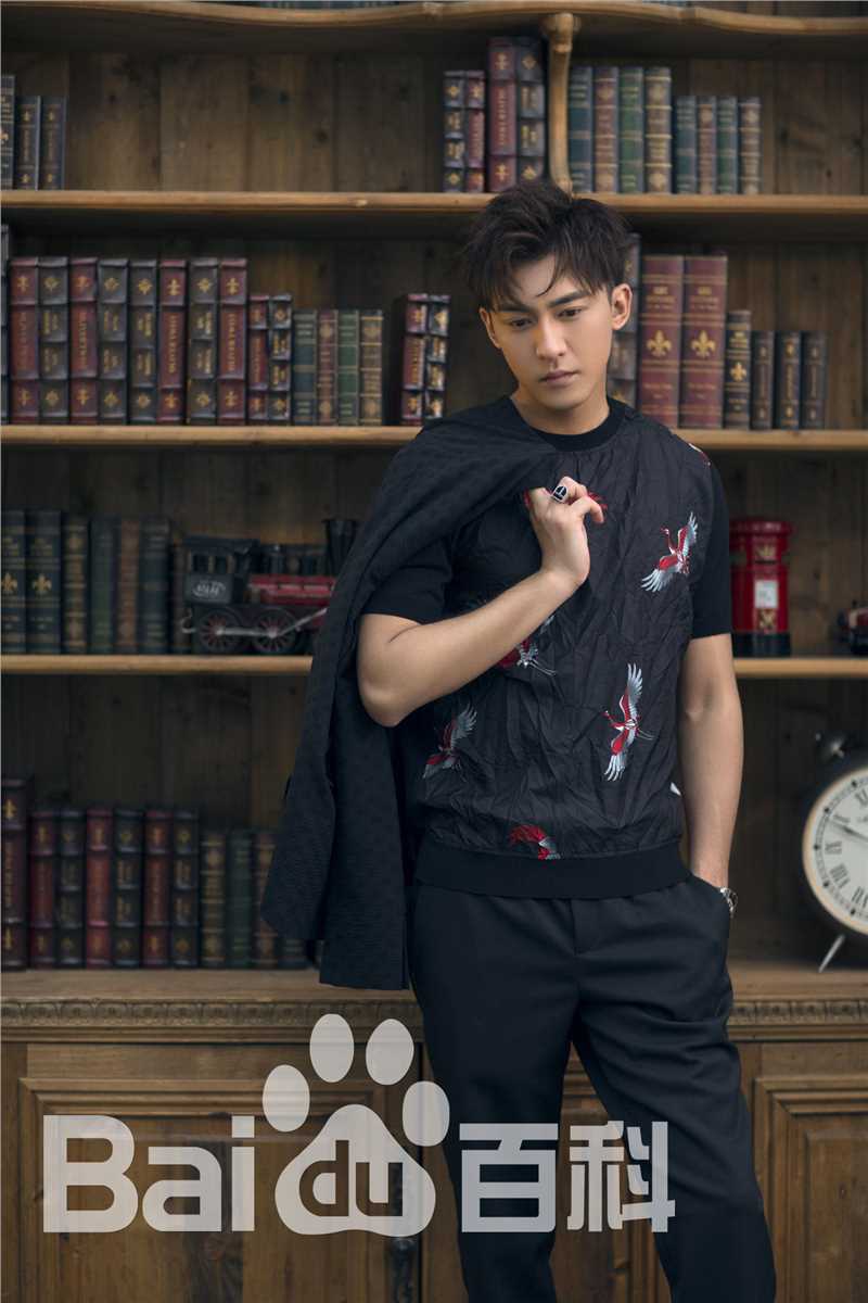 李柏谊精选宣传图册