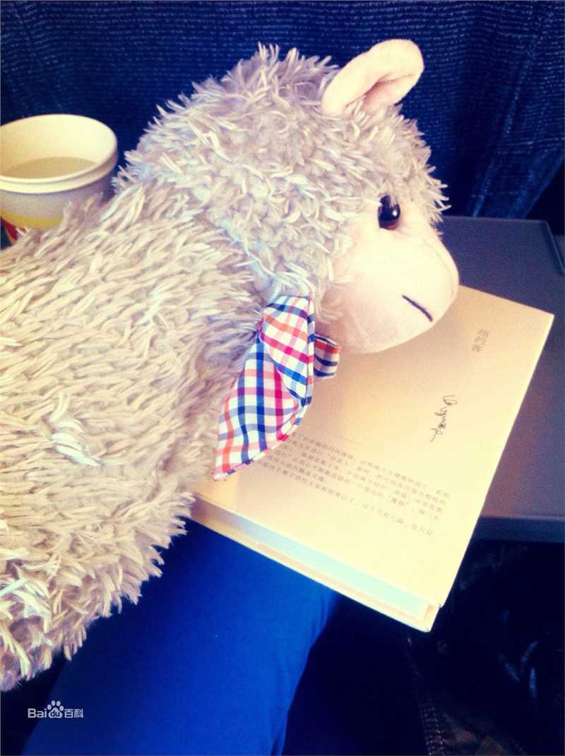 刘青(Ava Liu)生活照壁纸壁纸