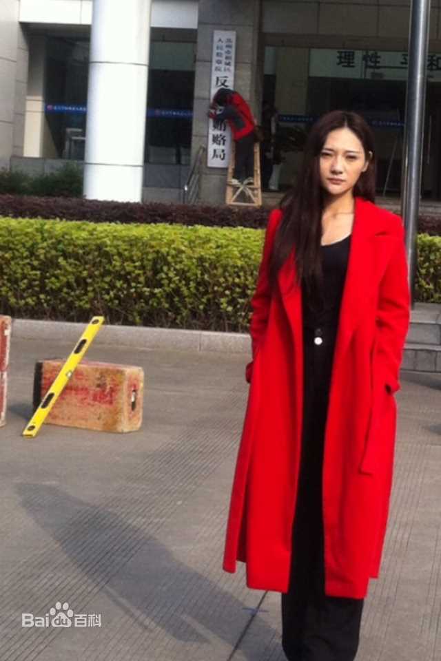 刘青(Ava Liu)电视剧高清剧照