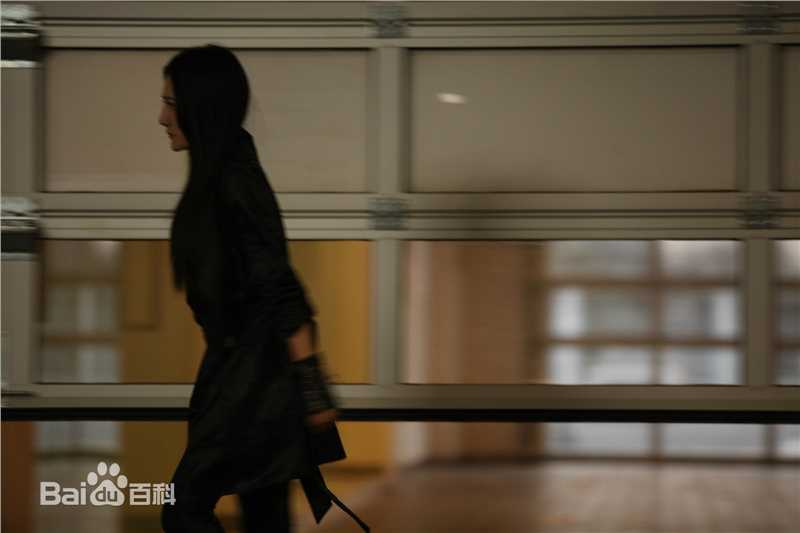 刘青(Ava Liu)电视剧高清剧照