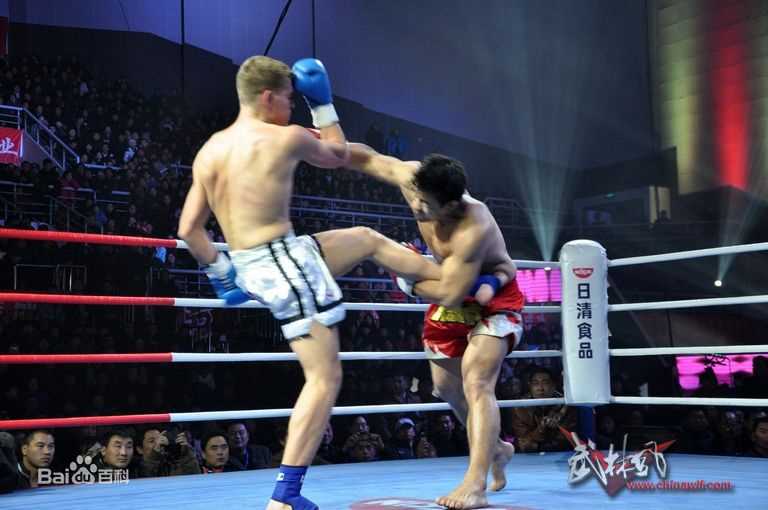 王洪祥(Wang Hongxiang)第五届环球拳王争霸赛比赛照片图片图册