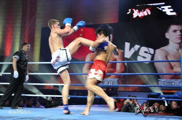 王洪祥(Wang Hongxiang)第五届环球拳王争霸赛比赛照片图片图册
