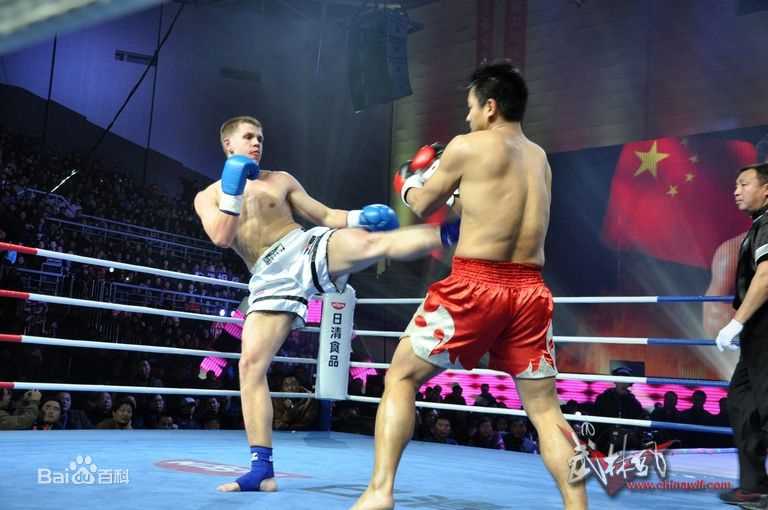 王洪祥(Wang Hongxiang)第五届环球拳王争霸赛比赛照片图片图册