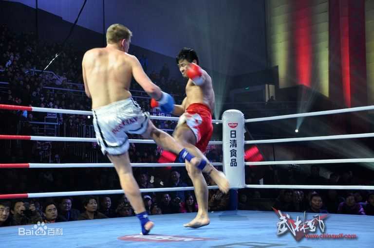 王洪祥(Wang Hongxiang)第五届环球拳王争霸赛比赛照片图片图册