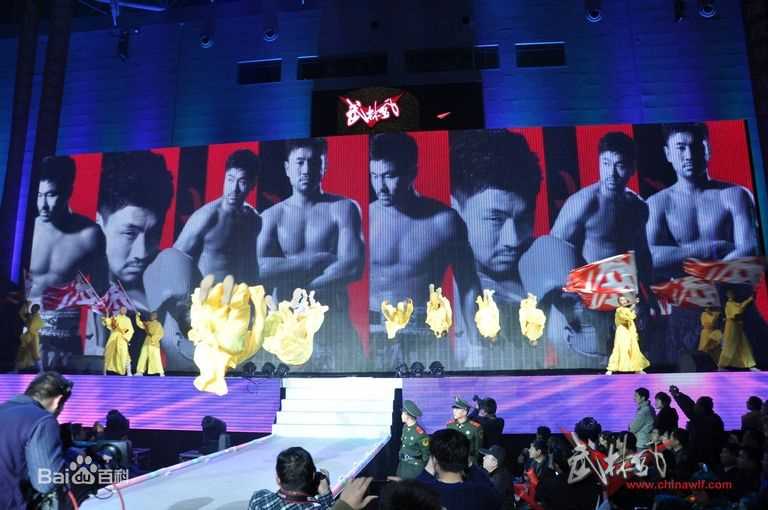 王洪祥(Wang Hongxiang)第五届环球拳王争霸赛比赛照片图片图册