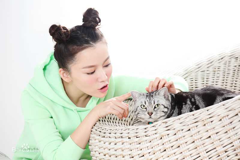 王紫依精选图册