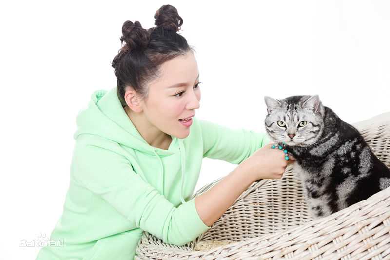 王紫依精选图册