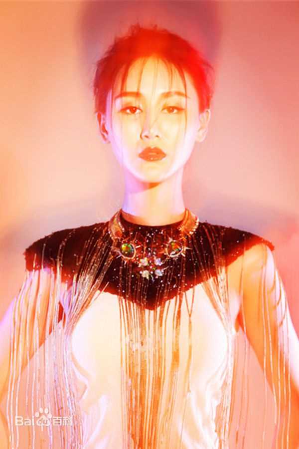 杜十五精选2014图册