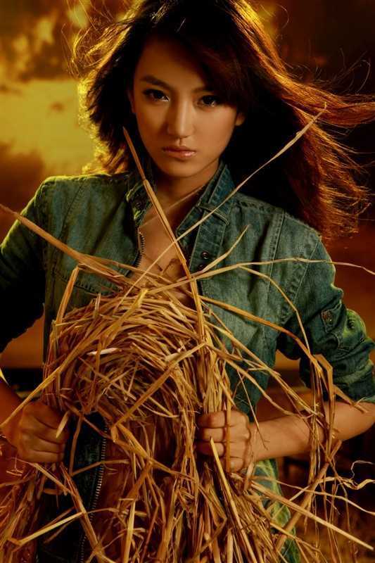 朱盼亚:最新的平面广告集