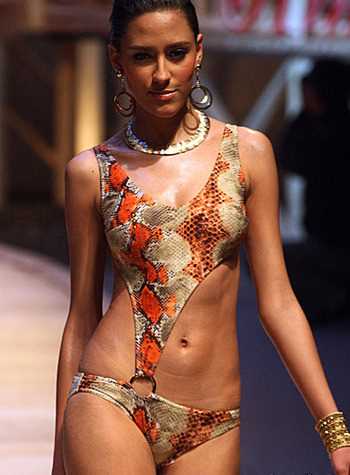 特别专辑体育宝贝展示泳装,大秀青春活力图片