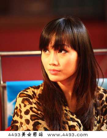 优质举牌女郎豹纹装助威搏击争霸赛图片