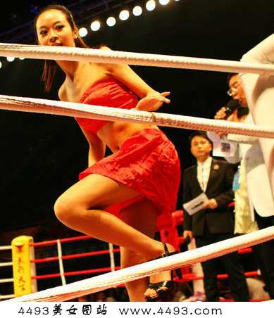 优质举牌女郎豹纹装助威搏击争霸赛图片