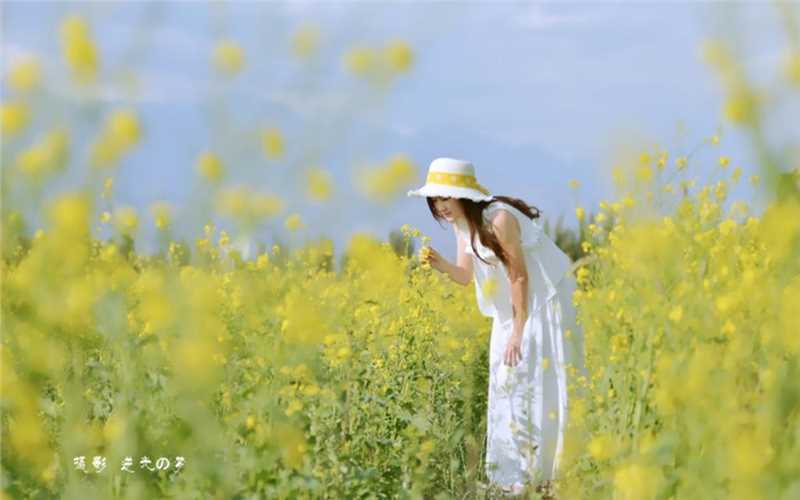 夏天清纯美女户外踏青长裙唯美浪漫风景图片