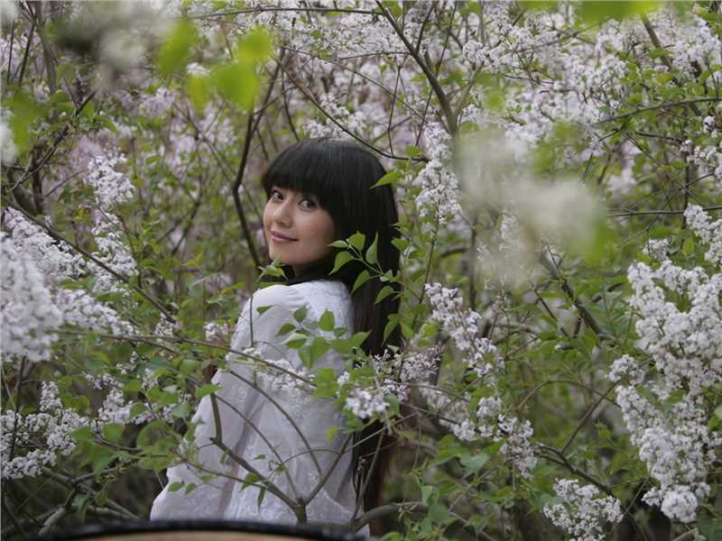 特别专辑高圆圆清纯唯美图片超清电脑壁纸图片