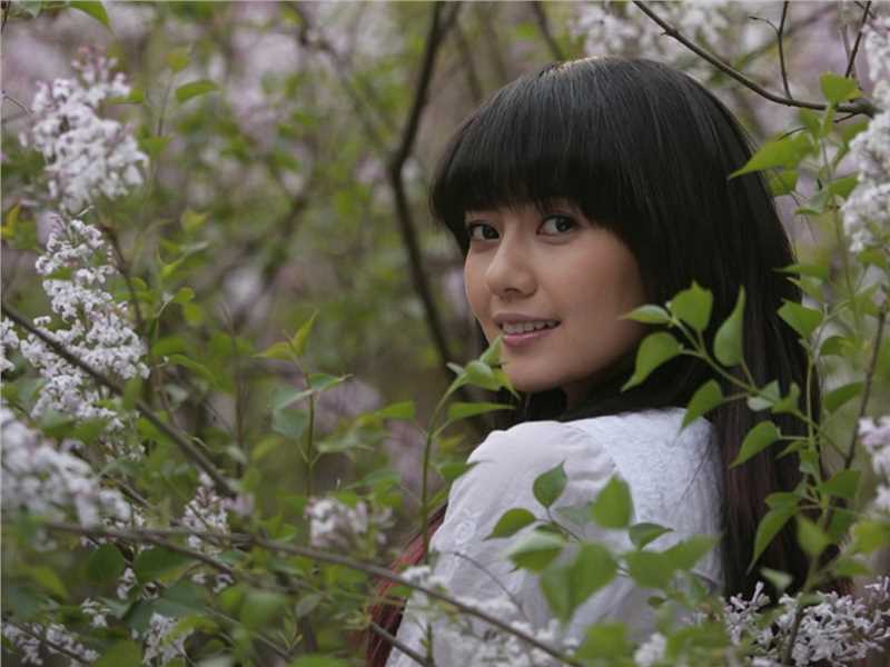 特别专辑高圆圆清纯唯美图片超清电脑壁纸图片