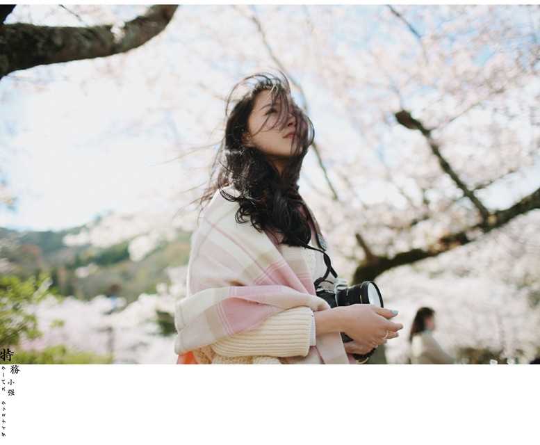 高清浪漫樱花下的清纯美女唯美图集