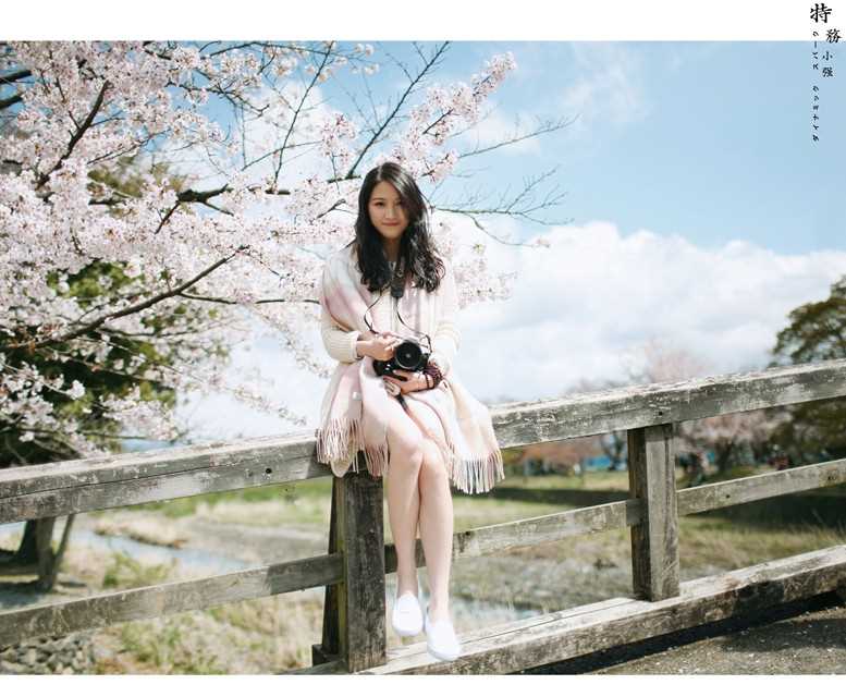 高清浪漫樱花下的清纯美女唯美图集