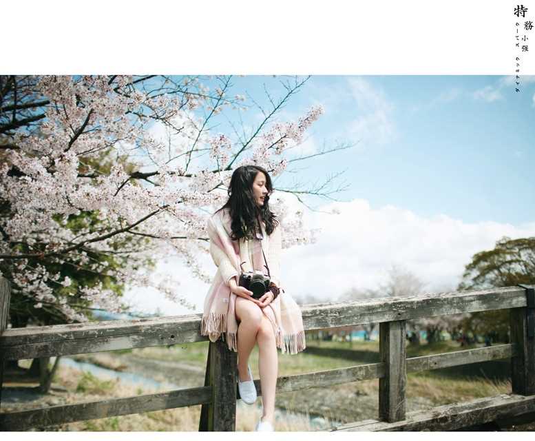 高清浪漫樱花下的清纯美女唯美图集