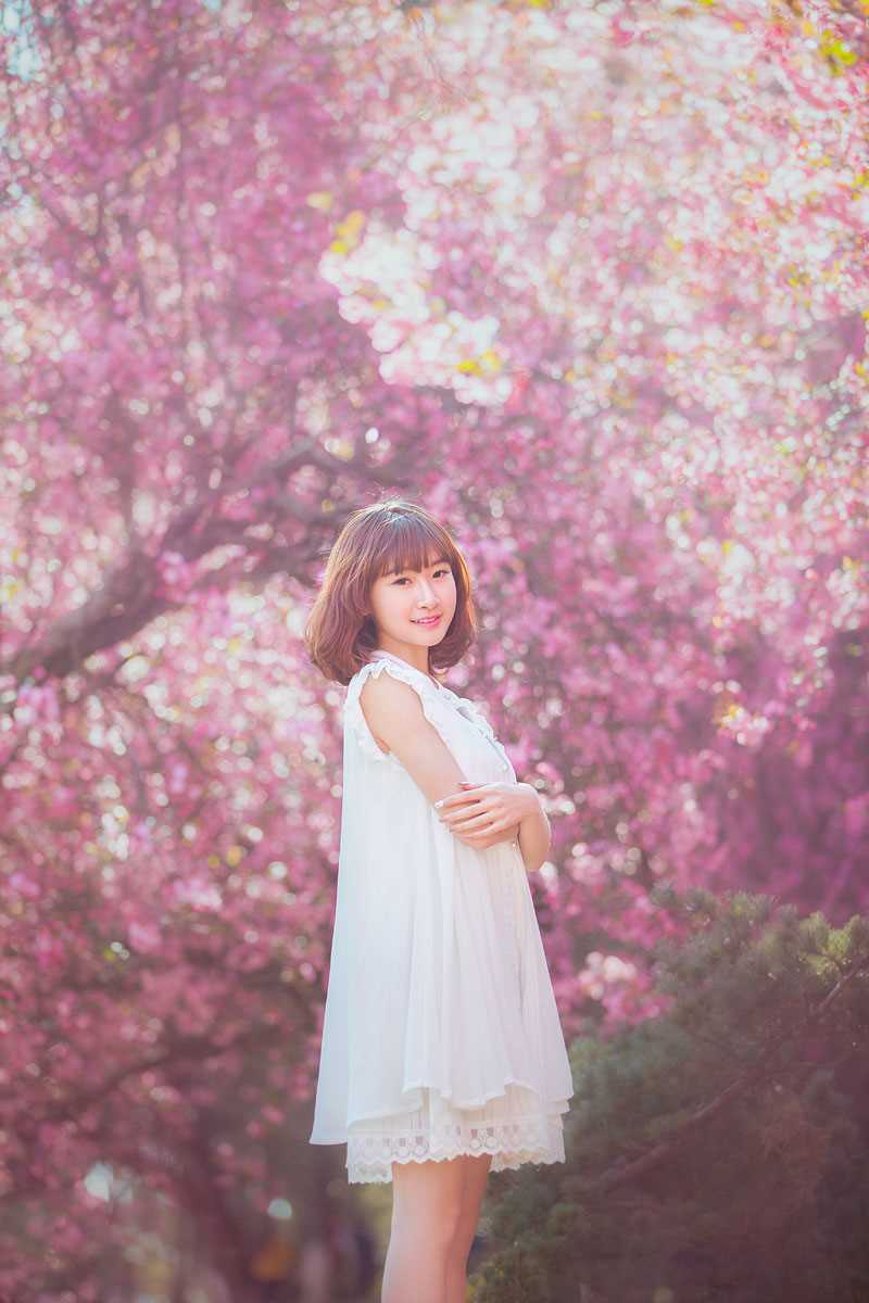 最全桃花树下的清纯女生貌美如花壁纸