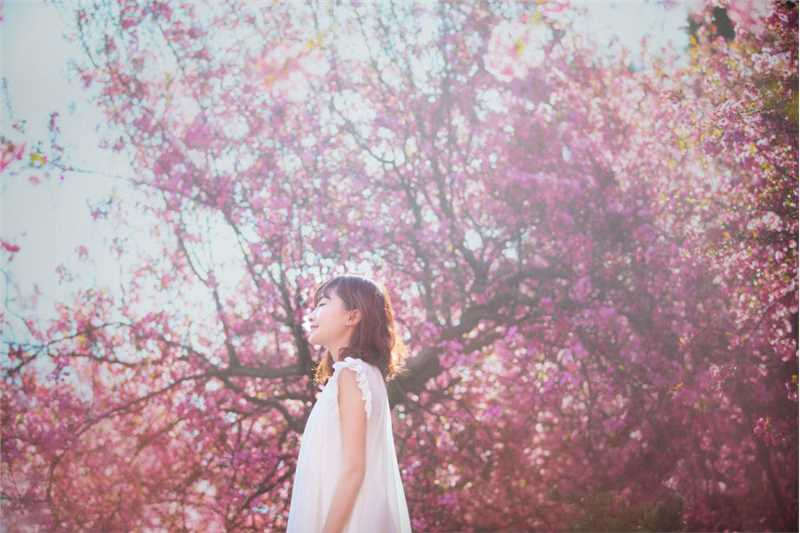 最全桃花树下的清纯女生貌美如花壁纸