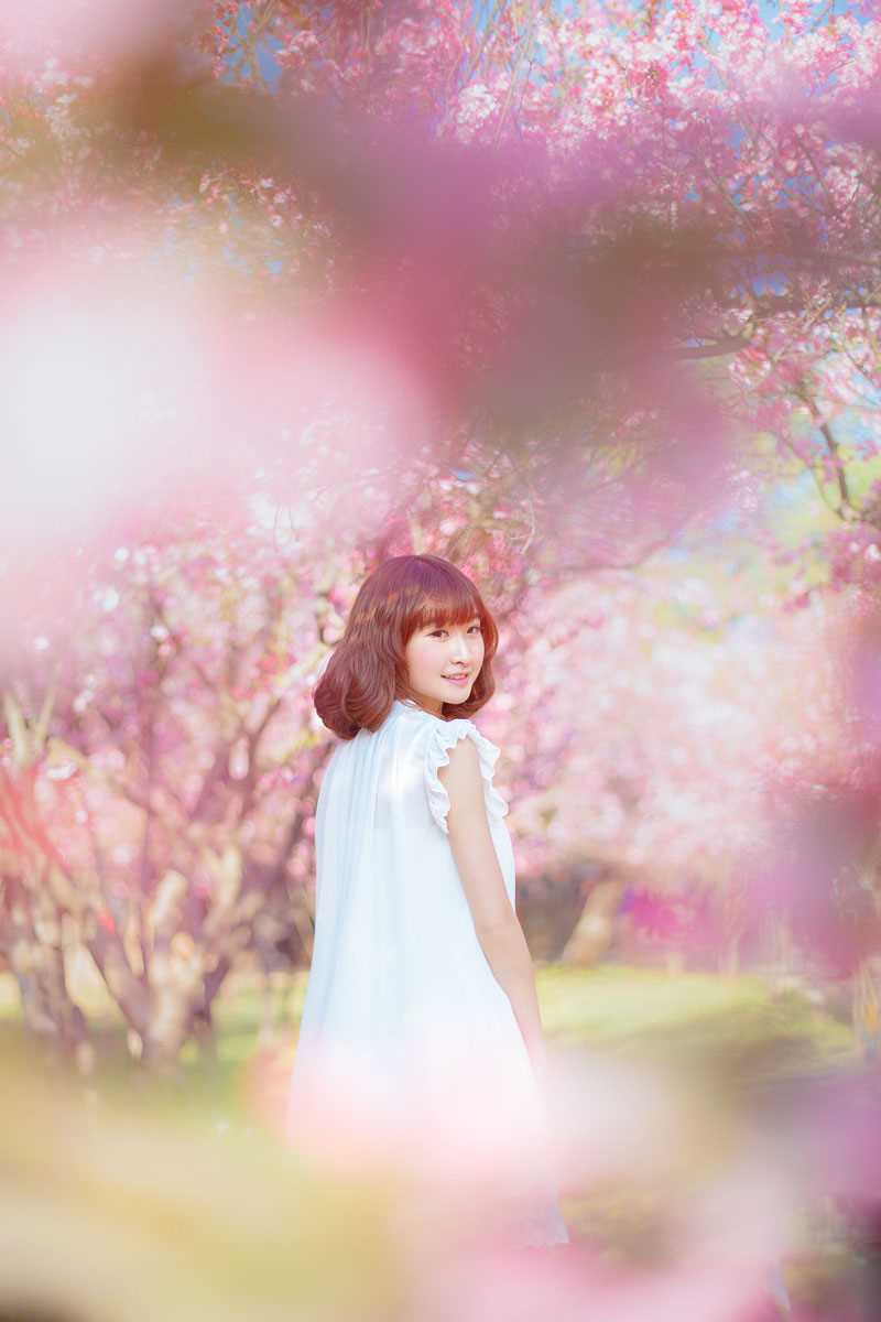 最全桃花树下的清纯女生貌美如花壁纸
