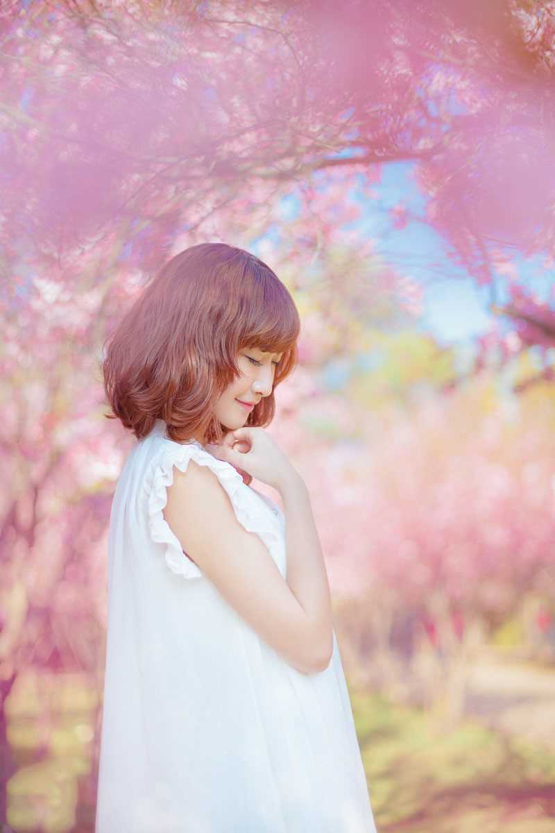 最全桃花树下的清纯女生貌美如花壁纸