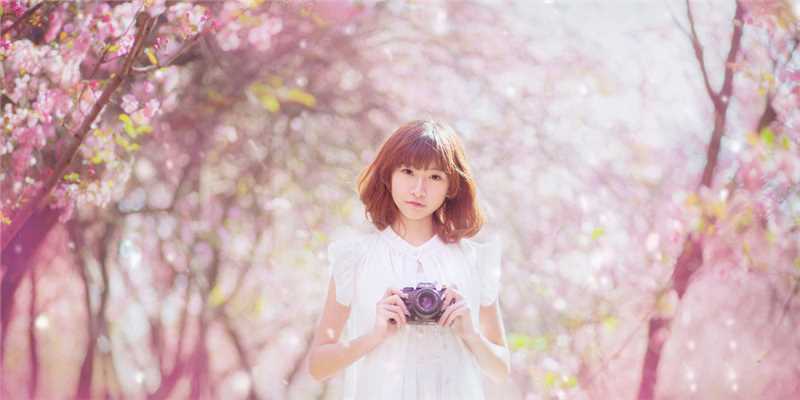 最全桃花树下的清纯女生貌美如花壁纸