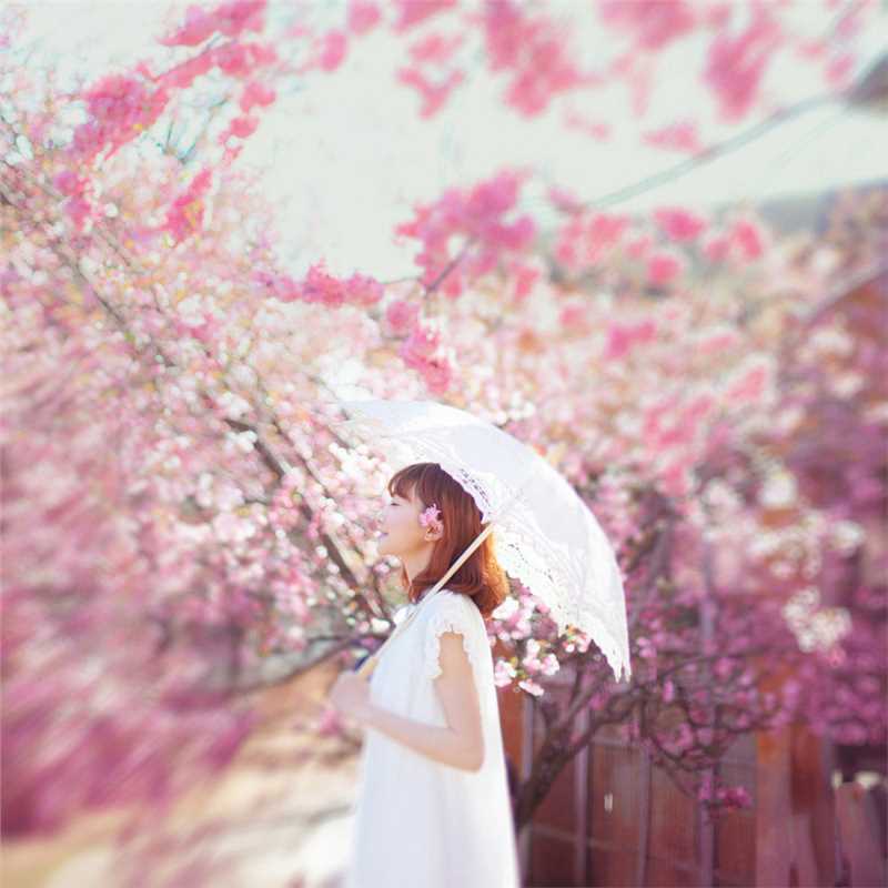 最全桃花树下的清纯女生貌美如花壁纸
