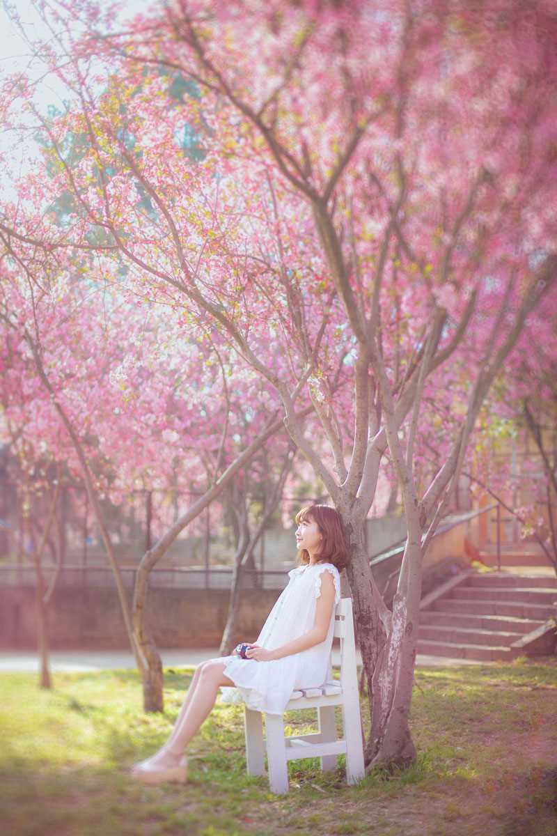 最全桃花树下的清纯女生貌美如花壁纸