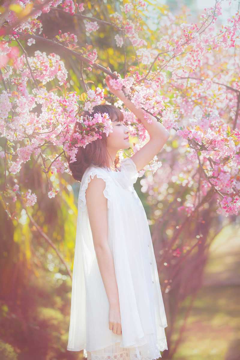 最全桃花树下的清纯女生貌美如花壁纸