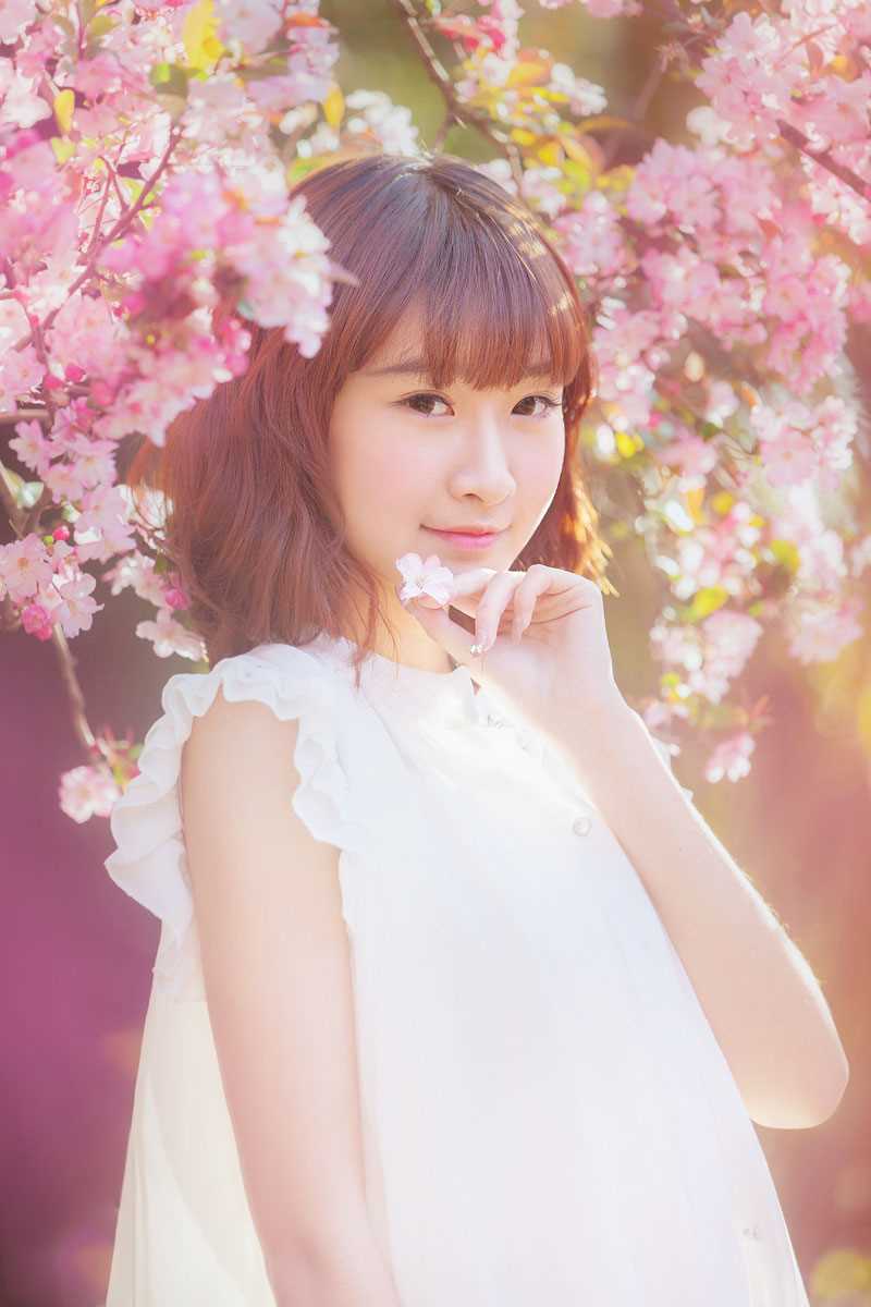 最全桃花树下的清纯女生貌美如花壁纸