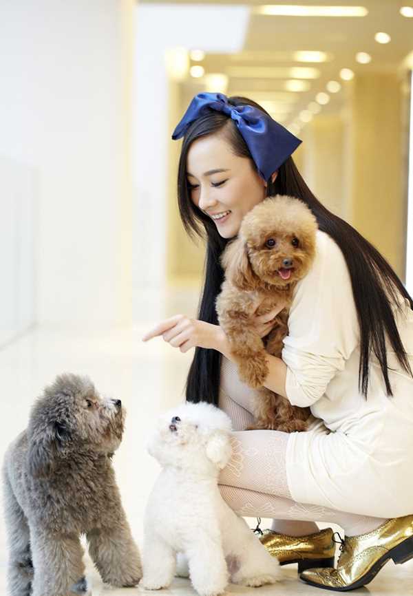 最全气质女神霍思燕唯美集壁纸