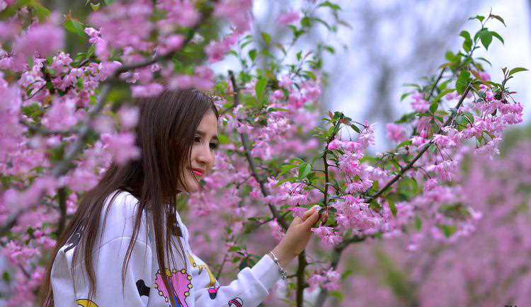 清纯美女户外花丛唯美写照