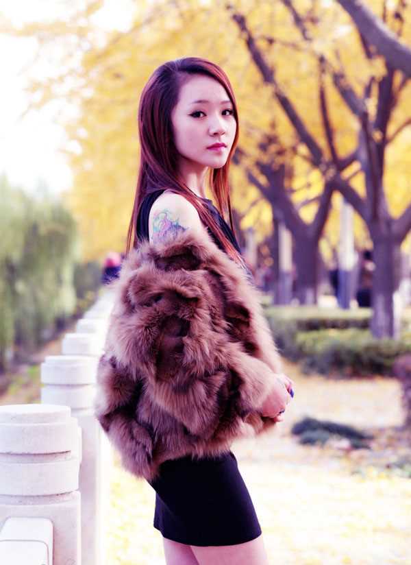 最全清纯校花秋日枫叶树下迷人相册