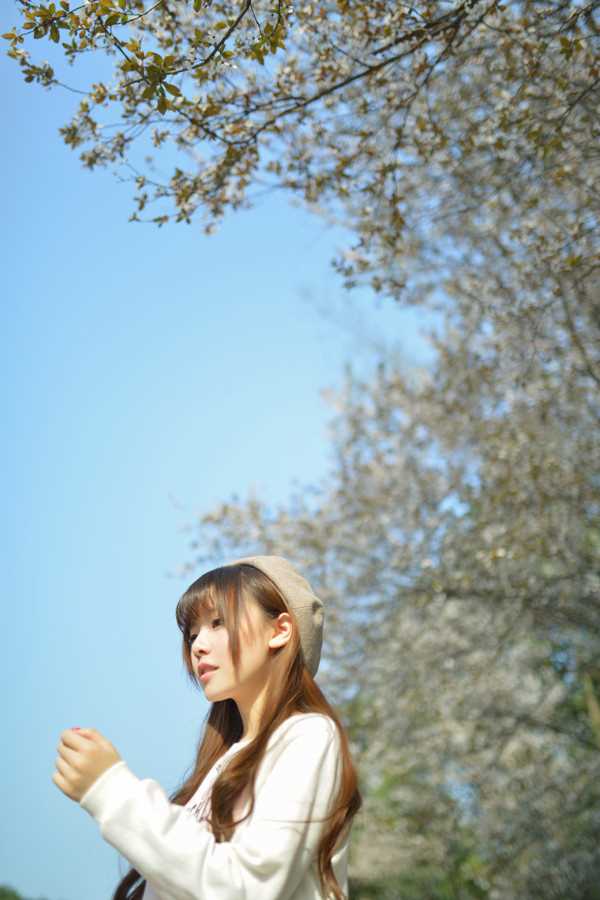 最全清纯美女樱花树下唯美相册