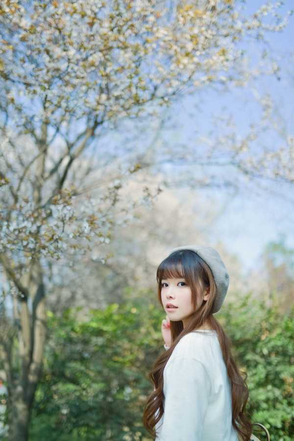 最全清纯美女樱花树下唯美相册