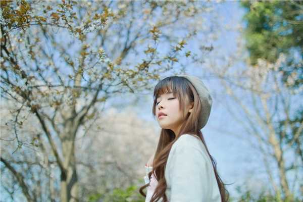 最全清纯美女樱花树下唯美相册