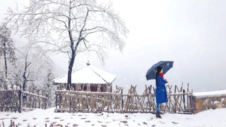 特别专辑冬日清纯美女唯美集图片