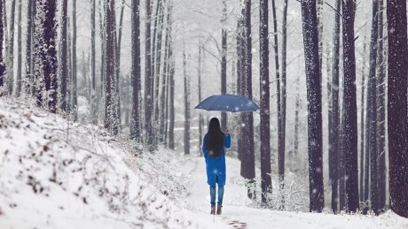 特别专辑冬日清纯美女唯美集图片