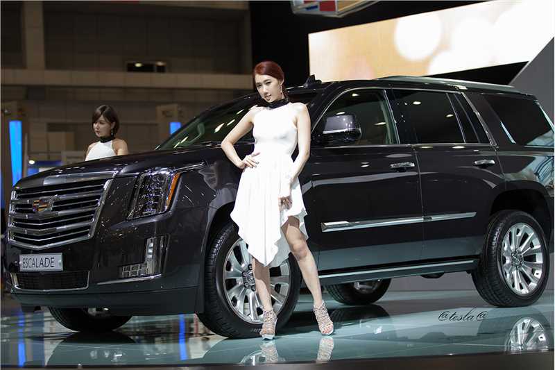 特别专辑韩国车模李圣花车展大秀修长大长腿图片