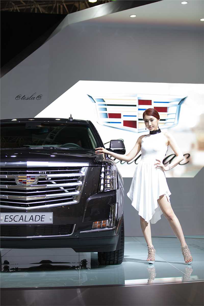 特别专辑韩国车模李圣花车展大秀修长大长腿图片