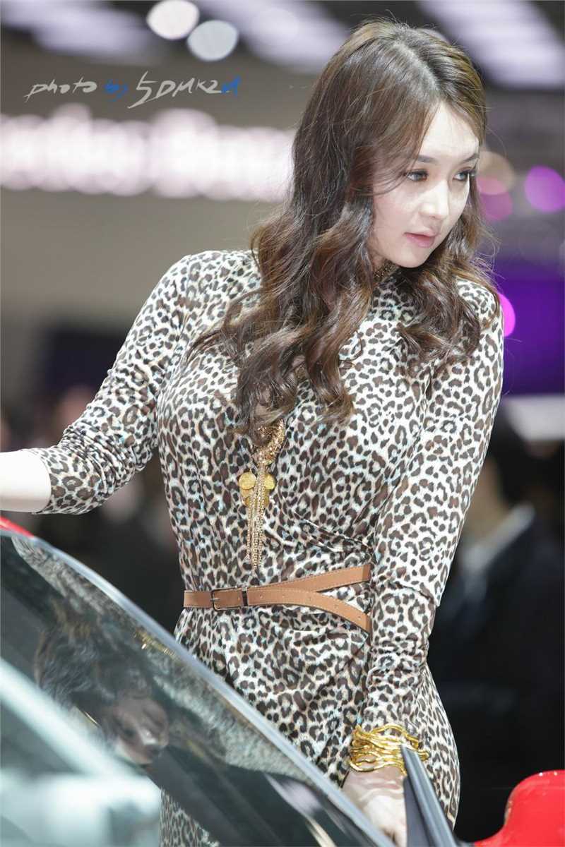 高清韩国车模林智慧车展迷人图集