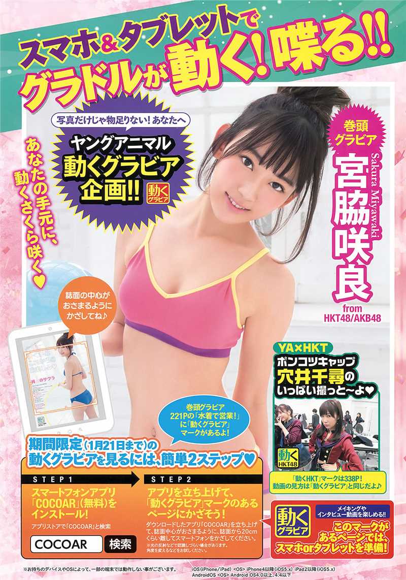 精选日本Young,Animal杂志甜美少女合辑图册