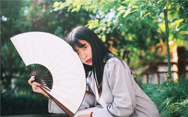 最全清纯古装美女高清桌面壁纸相册