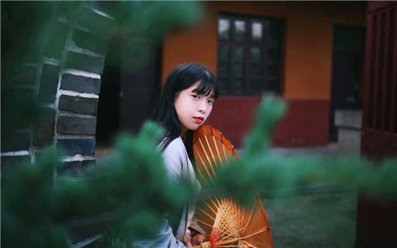 最全清纯古装美女高清桌面壁纸相册