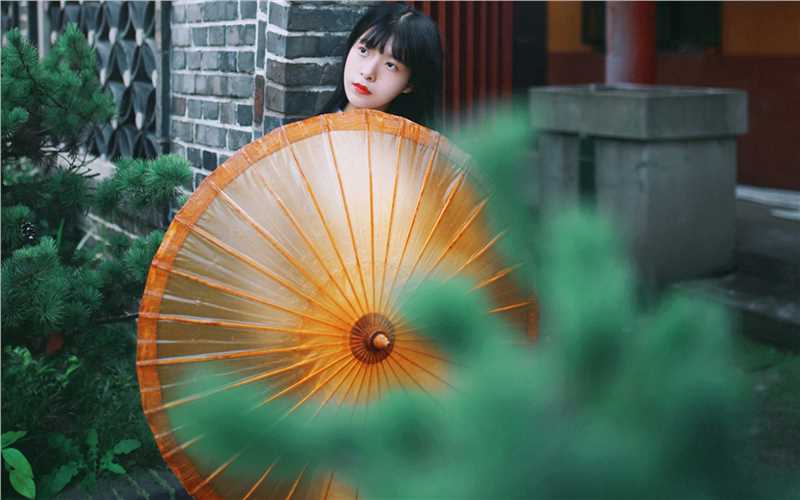 最全清纯古装美女高清桌面壁纸相册