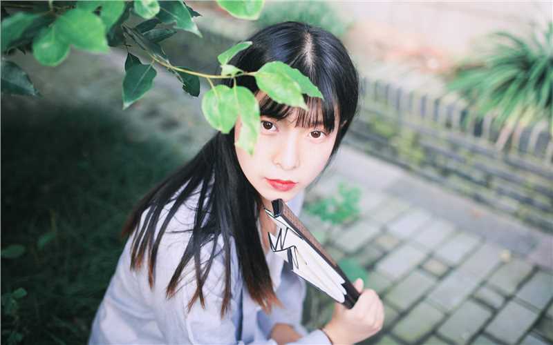 最全清纯古装美女高清桌面壁纸相册