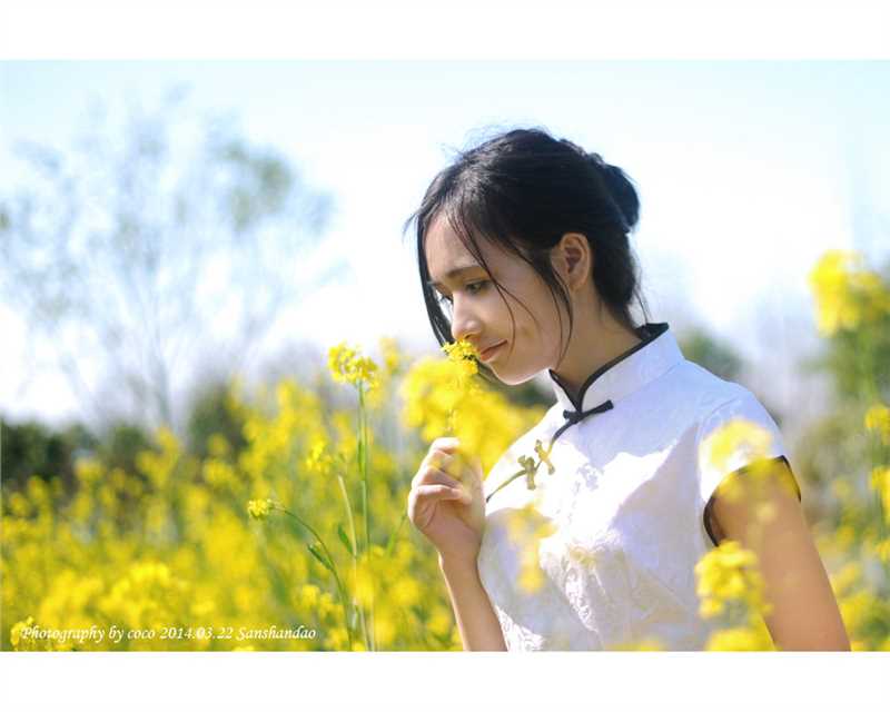 优质古典旗袍美女油菜花田里风情相册