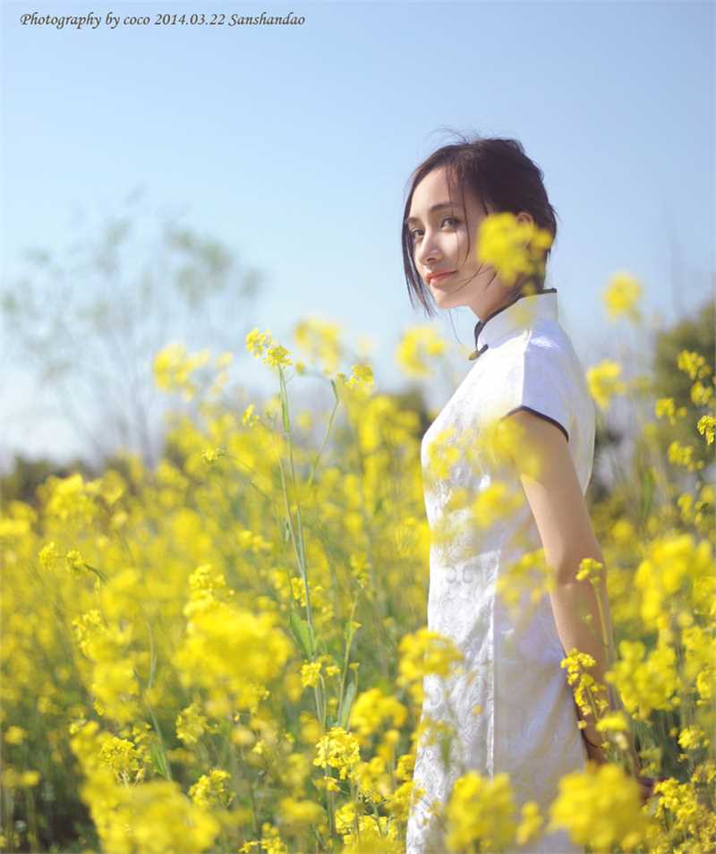 优质古典旗袍美女油菜花田里风情相册