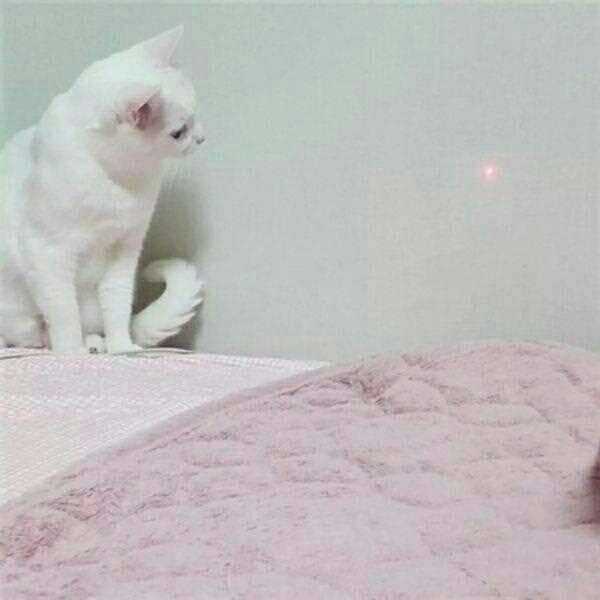 高清时尚艺术闺蜜空间心语签名意境图片图集